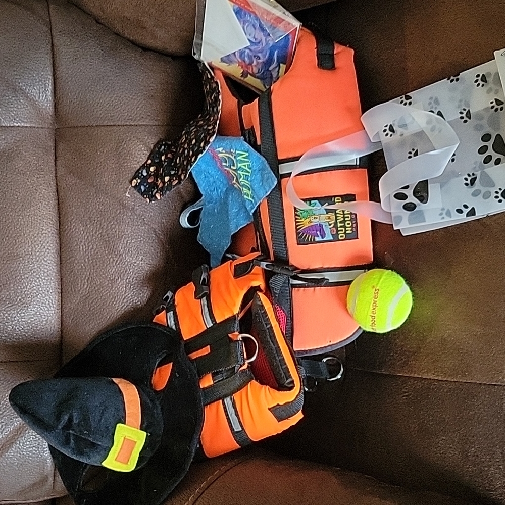 Semi Mystery Small Dog Bundle - Picture 3 of 7